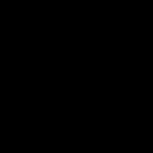 Meet your Posher, Jose